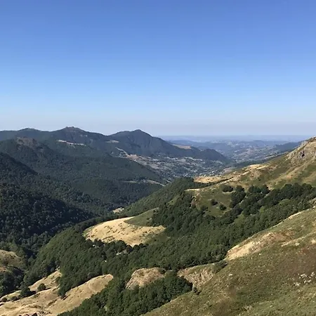 Spacieux 40m², Pieds Des Pistes, Wifi, Equipements Bebe, Animaux Admis, - Fr-1-787-58 * Laveissière