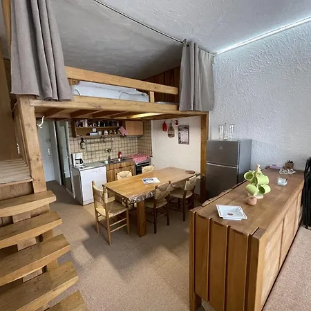 Apartament Spacieux 40m², Pieds Des Pistes, Wifi, Equipements Bebe, Animaux Admis, - Fr-1-787-58 Laveissière