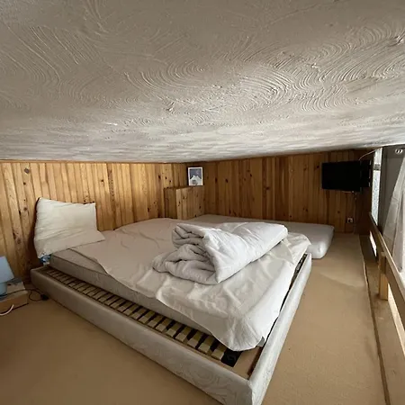 Spacieux 40m², Pieds Des Pistes, Wifi, Equipements Bebe, Animaux Admis, Laveissière